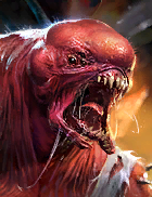 Vildrax